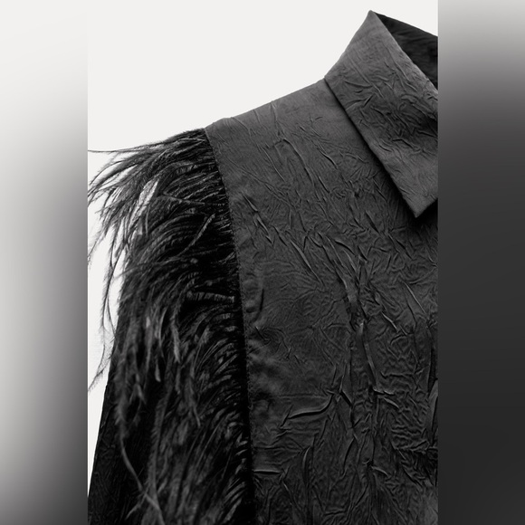 NWT ZARA ZW COLLECTION FEATHERS SHIRT & SATIN EFFECT CRINKLE PANTS - Picture 10 of 16
